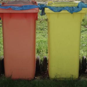 Во Владимире появится 600 новых контейнеров для раздельного сбора мусора