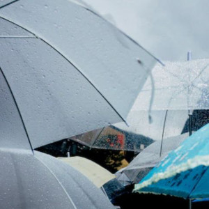 Прогноз погоды во Владимирской области на 24 августа