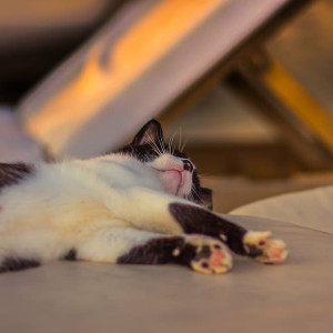 Дозорный день: что можно и нельзя делать 27 июля