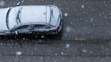 Во Владимирской области к концу рабочей недели выпадет снег