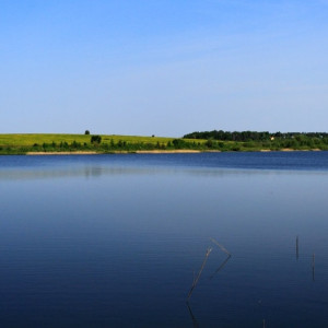 В водоеме под Муромом нашли тело 48-летнего мужчины