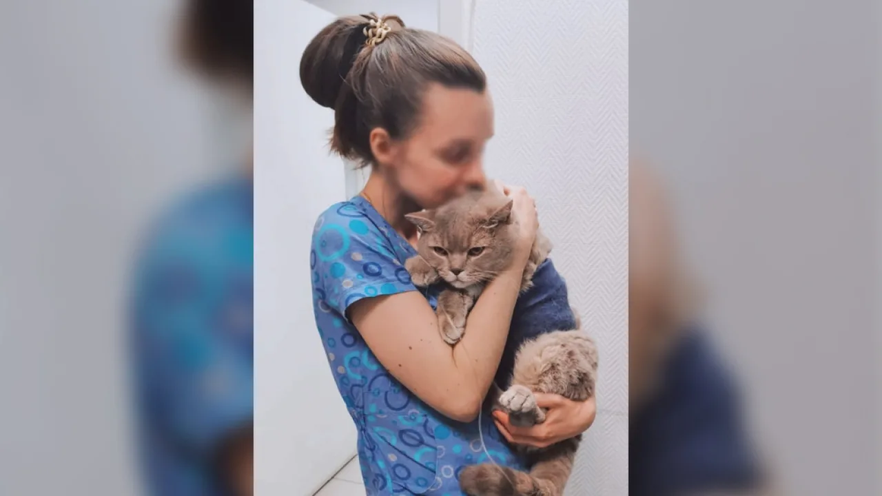 Погибшей в жуткой аварии на МКАД оказалась ветеринар из Владимира
