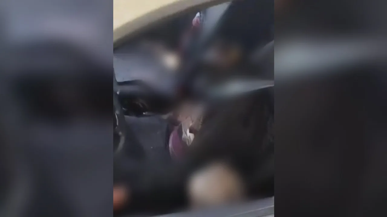 В машине с владимирскими номерами нашли человека без головы