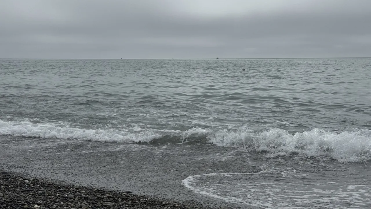Как экологическая катастрофа на Черном море повлияла на туристический сезон