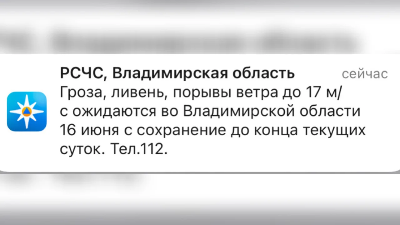 МЧС предупредило жителей Владимирской области о ливне с грозой и урагане до 17 м/с