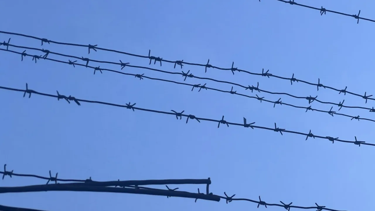 Таджика приговорили к 8 годам колонии за ограбление текстильного предприятия в Киржаче
