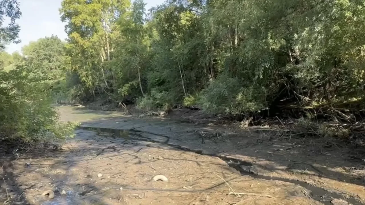 В парке у ДТЮ во Владимире началось осушение прудов