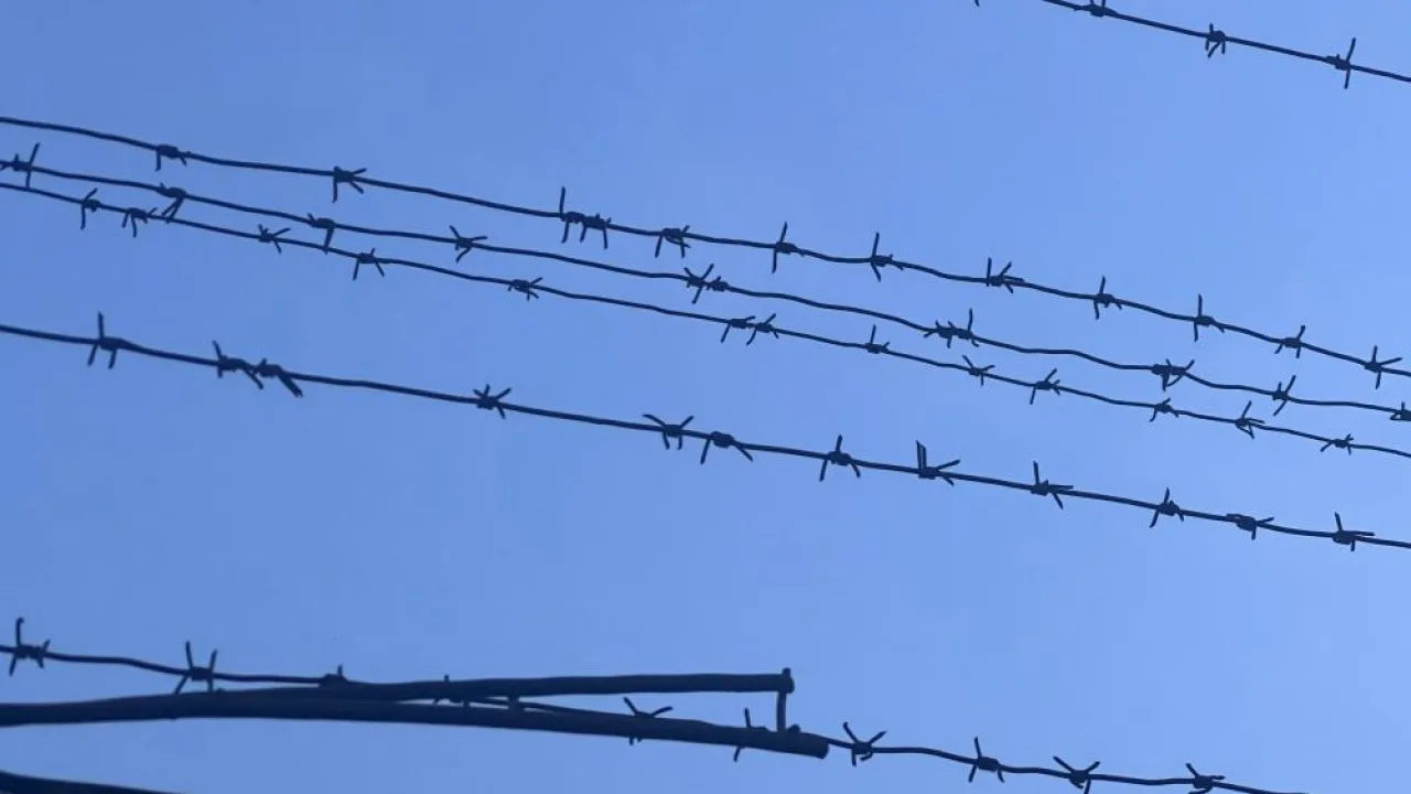Сына проблемного владимирского застройщика оставили в СИЗО