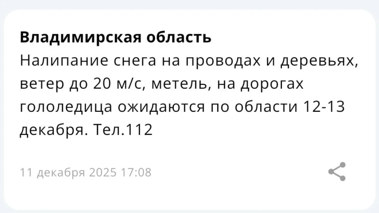 Во Владимирской области спрогнозировали метель 12 и 13 декабря