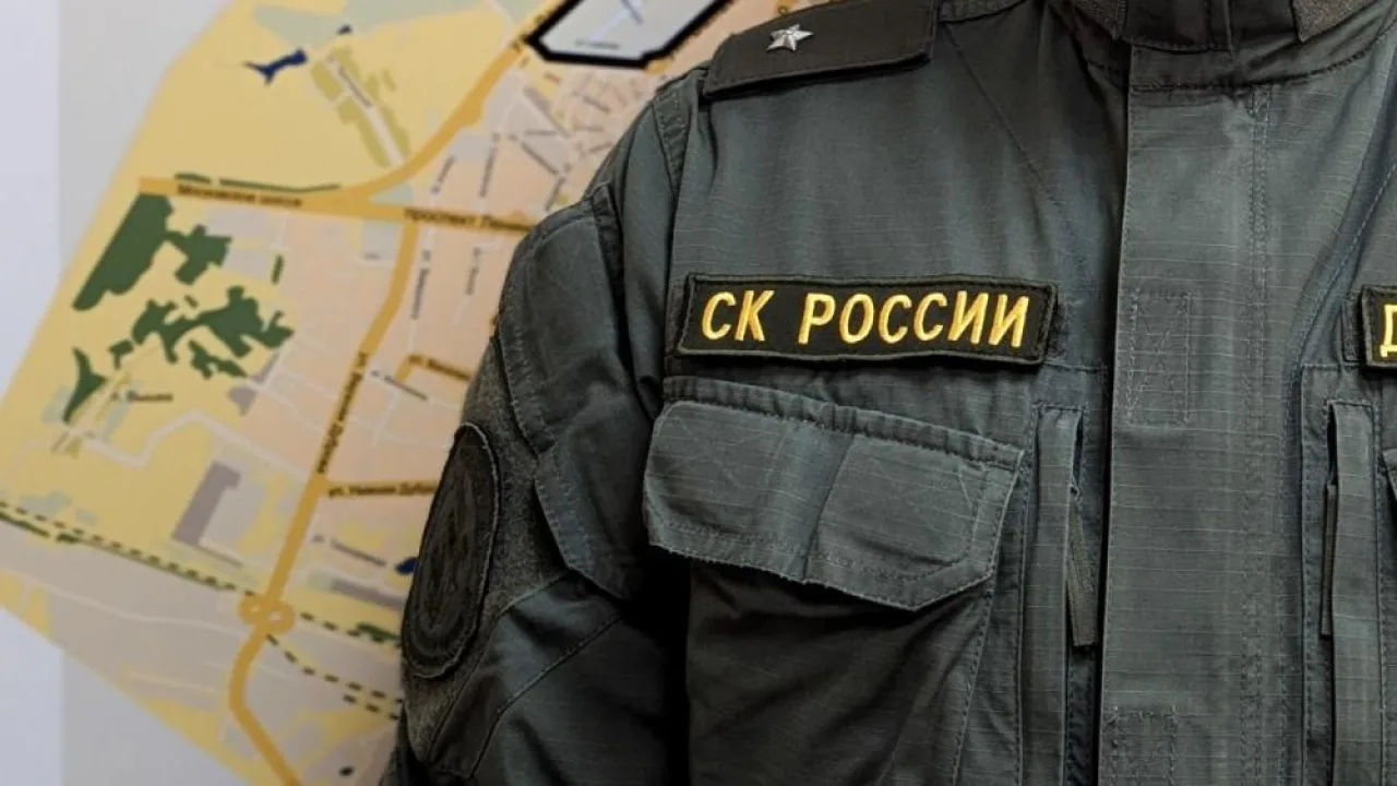 В Александрове сын зарезал собственную мать в новогодние праздники