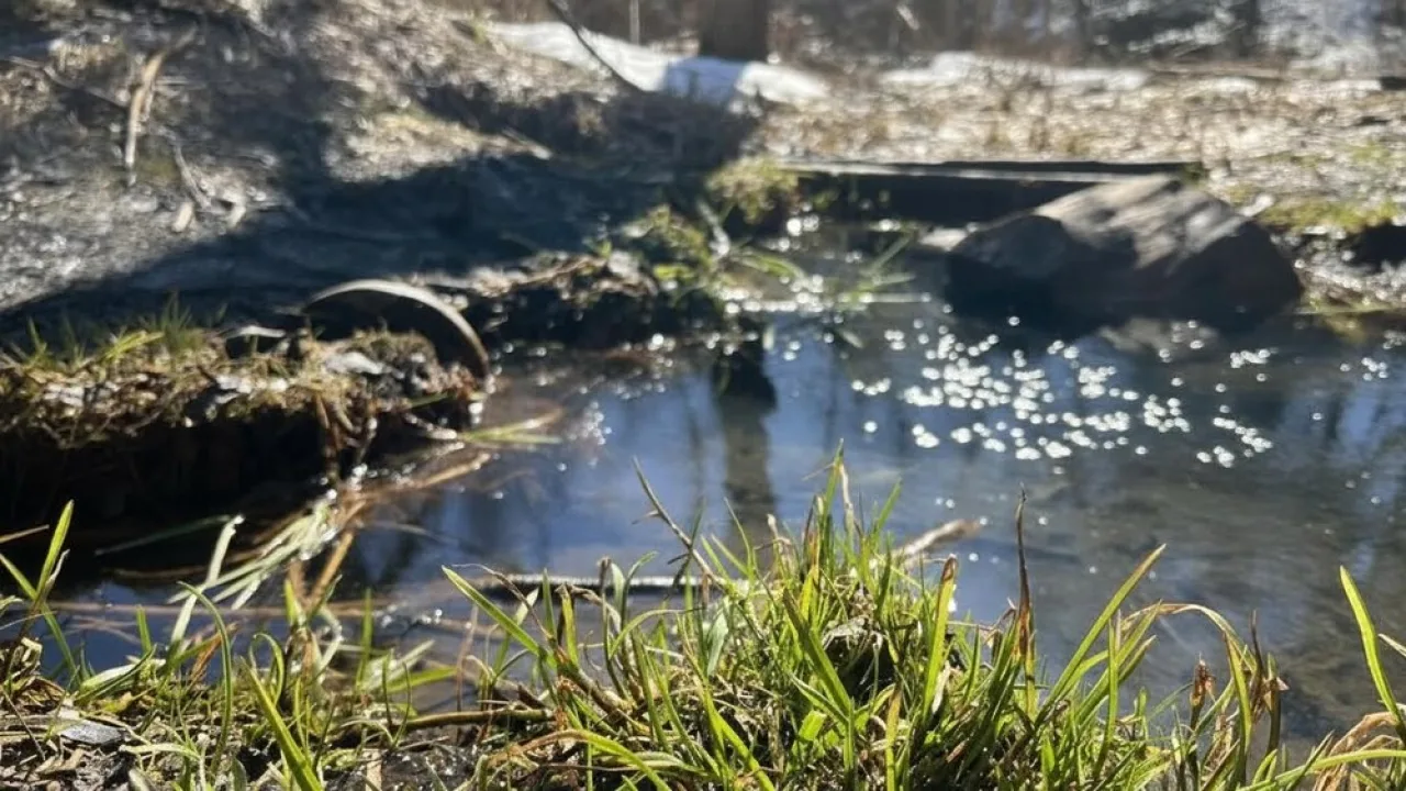 Во Владимирской области 10 марта наступит метеорологическая весна