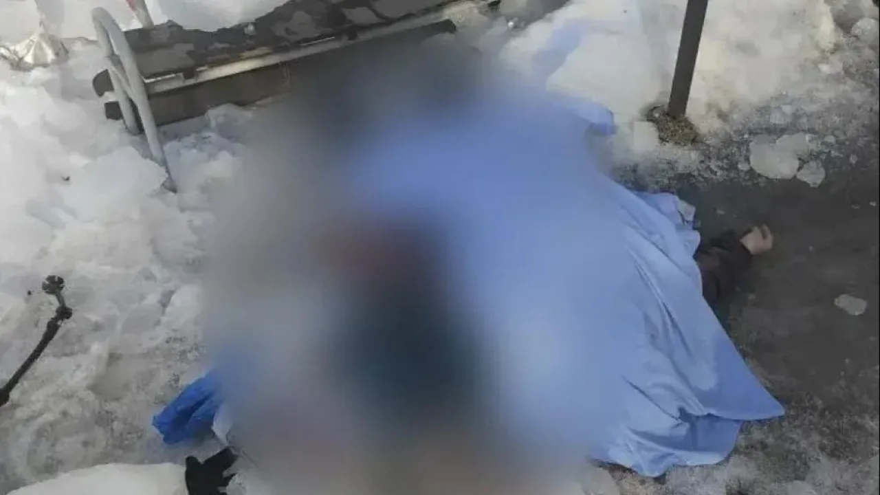 В Петушинском районе снегом с крыши убило 65-летнюю женщину