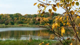 Начало осени по-настоящему удивит: россиян предупредили о погодных сюрпризах в сентябре 2026-го