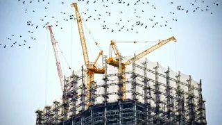 В Добром во Владимире уменьшат масштабы точечной застройки