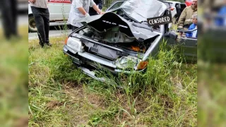 Водитель погиб в ДТП с лосем под Гусь-Хрустальным