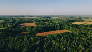 Во Владимирской области Героям СВО решили бесплатно выдавать землю