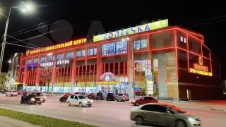 Во Владимире на продажу за 455 млн рублей выставили ТЦ «Копеечка»