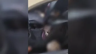 В машине с владимирскими номерами нашли человека без головы
