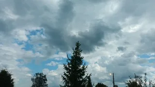Во Владимирской области 10 районов остались без света из-за непогоды