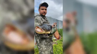В Вязниках поймали гигантского сома