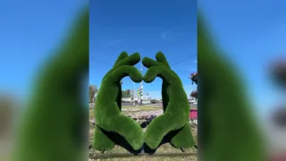 На Суздальском проспекте во Владимире установили «Руки-сердце»