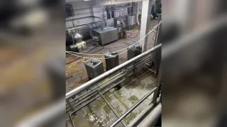 Молокозавод во Владимирской области уличили в нарушениях