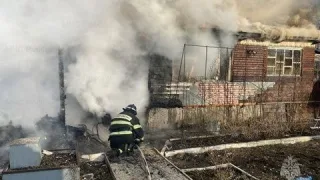 Сотрудники МЧС спасли дачный поселок в Петушинском районе от пожара