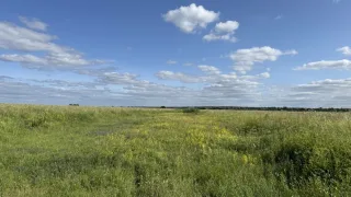 Прогноз погоды во Владимирской области на 23 июня 2025 года