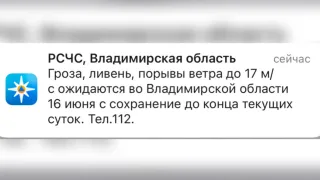 МЧС предупредило жителей Владимирской области о ливне с грозой и урагане до 17 м/с