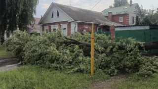 Мощный ураган и ливень с грозой прошелся по северо-западу Владимирской области