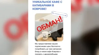 Жителей Владимирской области начали разводить с помощью фейк-рекламы кафе с капибарами