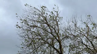 Во Владимирской области объявили штормовое предупреждение 12 июля
