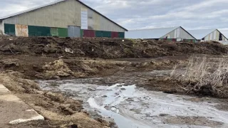 Из-за гибели рыбы в реке Бакава в Юрьев-Польском районе завели уголовное дело
