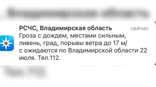 МЧС предупредило жителей Владимирской области о грозе и граде 22 июля