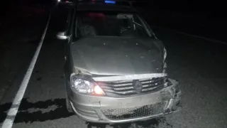 За неделю в ДТП на дорогах Владимирской области погибли 2 и пострадали 52 человека