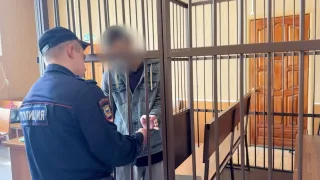 Во Владимирской области будут судить 8 членов ОПГ привезшей в Россию 2,8 тыс. мигрантов