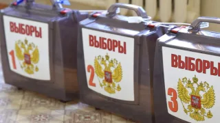 Во Владимирской области явка на муниципальные выборы составила 20,95%