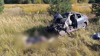 Два человека погибли в ДТП с автобусом на трассе Владимир – Радужный
