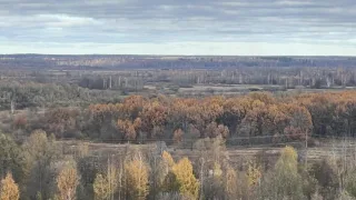 Прогноз погоды во Владимирской области на 17 сентября 2025 года