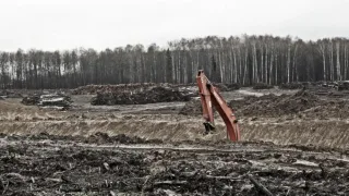 Спиленные ради реконструкции аэропорта во Владимире деревья отправят в зону СВО