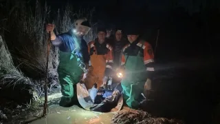 Под Владимиром нашли труп мужчины в болоте