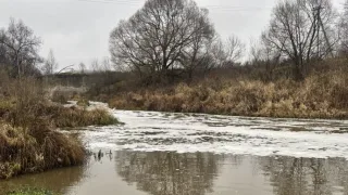 Бастрыкин взял на контроль историю с загрязнением реки Пекша в Петушинском районе