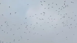 Появился неутешительный прогноз на первые выходные декабря во Владимире