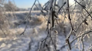 Прогноз погоды во Владимирской области на 24 декабря 2025 года