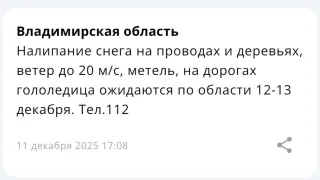Во Владимирской области спрогнозировали метель 12 и 13 декабря