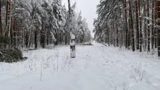 «Фрэнсис» оставил без света 32 населенных пункта Владимирской области