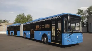 На улицы Владимира выйдут автобусы-гармошки