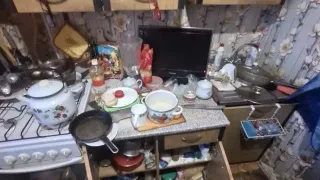 В Кольчугино 8-летняя девочка жила в свинарнике с матерью-алкоголичкой