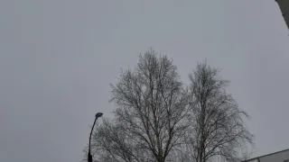 Во Владимире 4 марта завыли тревожные сирены