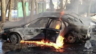 Во Владимире пожар в центральном парке уничтожил две машины